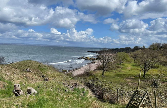 4 Star Holiday Home in Farhult - Photo 13