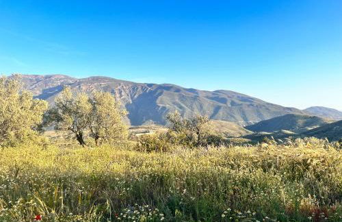 Cortijo Al-Andalus - Foto 77