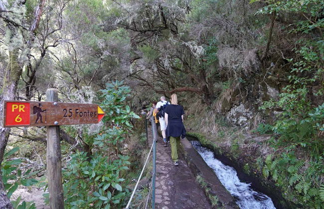 Cabo Girão & Rabaçal Offroad Day Trip - Photo 7