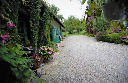 Domy Konesera - Foto 22