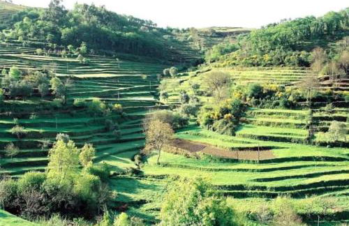 Casa dos Leões- Aldeia dos 4 abades - Foto 31