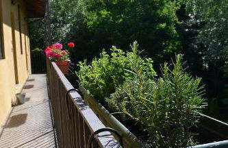 Agriturismo Cascina Scanna - Foto 95