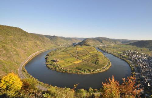 Ferienwohnung am Moselufer - Foto 40