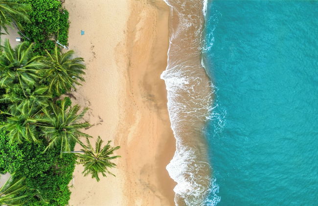 Trinity Beach Pacific - Foto 41