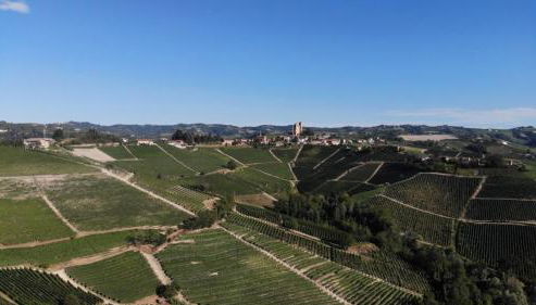 Cascina Parafada - Foto 2