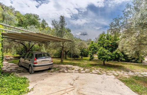 La Terrera - Photo 21