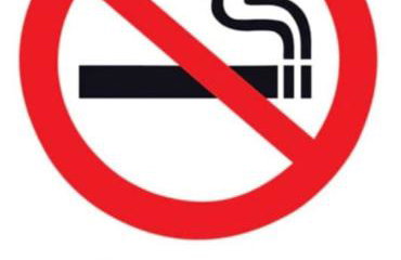 Apartamento - Foto 12