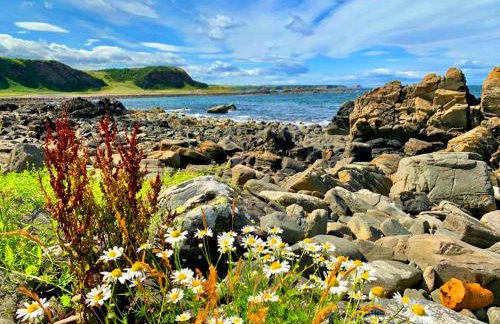 Spacious 2 Bedroom Home in Picturesque Cullen - Foto 33