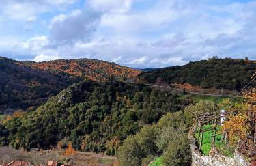 Magnolia Traditional Stone House in Vamvakou - Foto 41