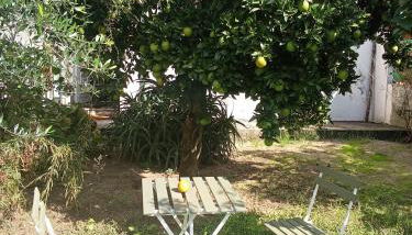 Orange tree apartment - Foto 1, Garden, Garden view
