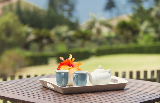 Tintoela of Norfolk - Foto 33