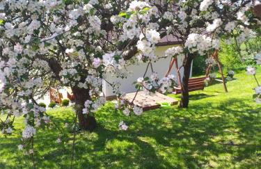 Chatka Milkowska - Foto 15