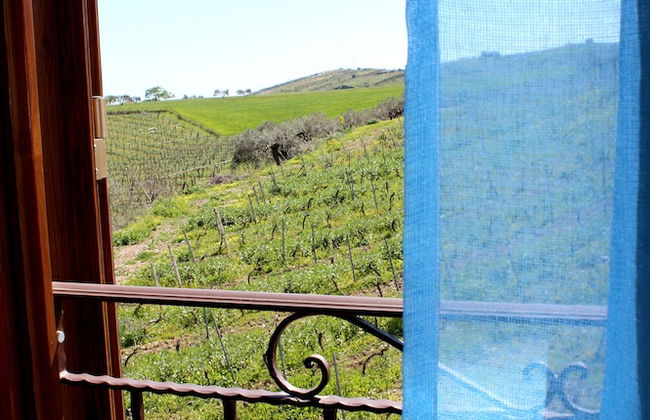 Agriturismo La Casa di Bacco - Foto 4