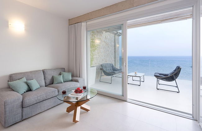 White Orchid Arundina - Photo 12