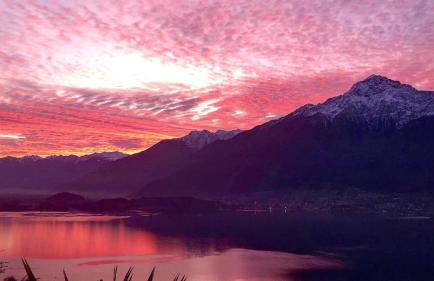 Villa delle Olive - Photo 19