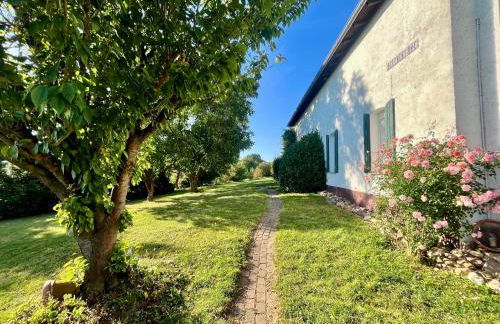 Ruhige Ferienwohnung auf dem Delcherhof in der Mosel-Weinregion - Foto 19