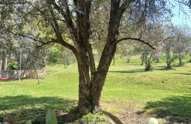 El Paller Mas Vidalou - Foto 19