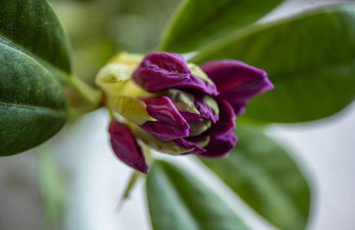 Ferienhaus Groenhoff 35122 - Foto 36