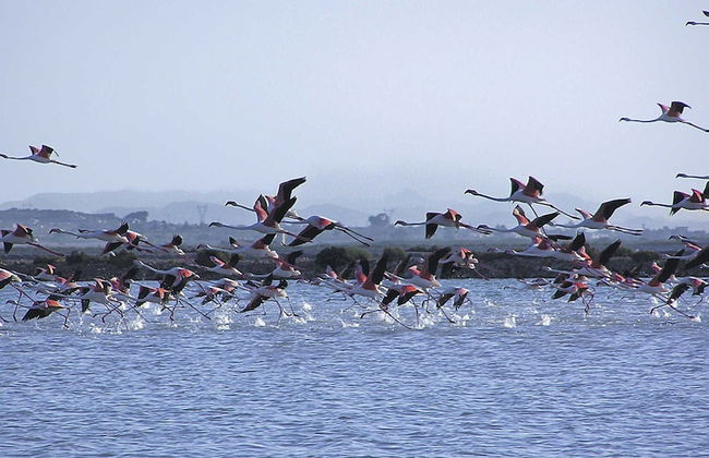 Casa Entre Viñas - Foto 66