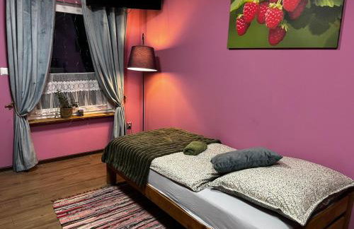 Agroturystyka Mirabelkowe Zacisze - Foto 44