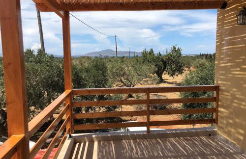 Villa Elena ΝΕΑΠΟΛΗ ΒΟΙΩΝ - Foto 13