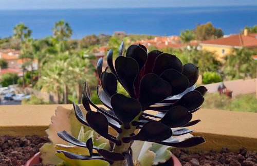 Terraza vista océano La Quinta - Photo 35