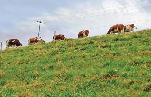 Two-Bedroom Holiday Home With Mountain View In St Märgen - Foto 20