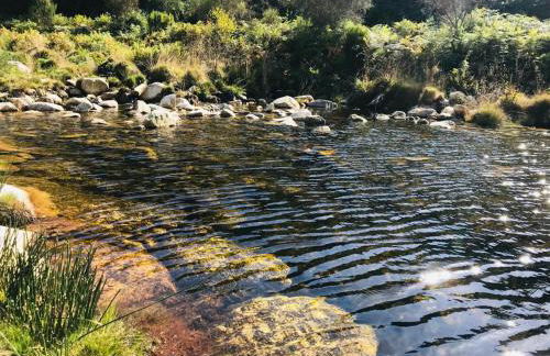Janelas da Cabreira - Foto 23