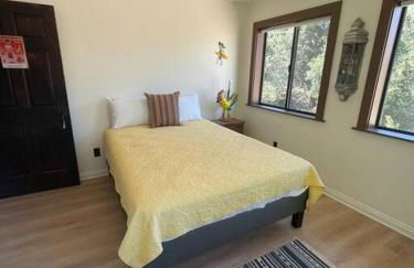 Hilltop Vineyard and Agave Field with View - Photo 33