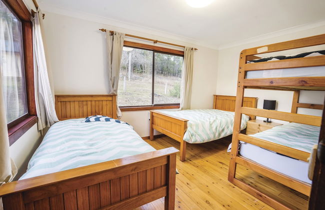 Big Yango House - Foto 3