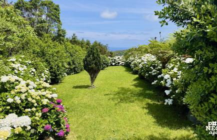 Casa da Serreta by PontaNegraAzores - Photo 26