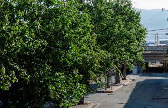 Calabreeze - Photo 55