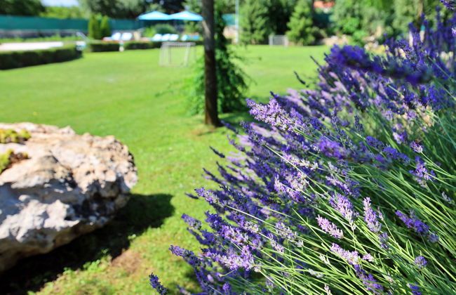 Bili dvori - Foto 22