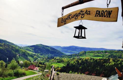Agroturystyka Faron - Foto 27