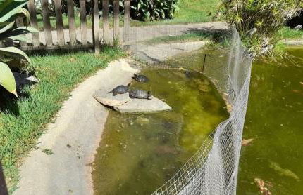 SALOMAR GOLF - Foto 36