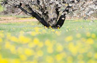Le Clos d'Estellan - Piscine chauffée - Foto 10