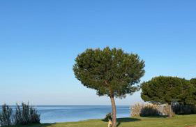Villa Karigador, Umag- Karigador, Istria - Foto 24