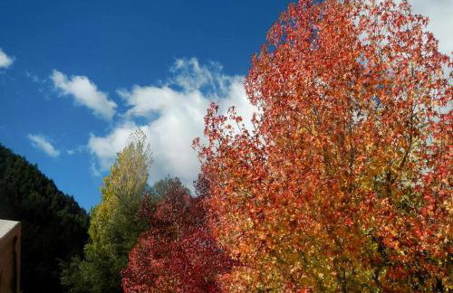 Charming Cottage Rental with Fabulous Views of the Trinity River in Northern California - Foto 58