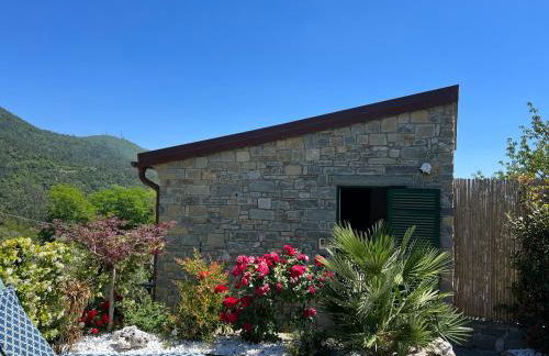 The Garden - Foto 24