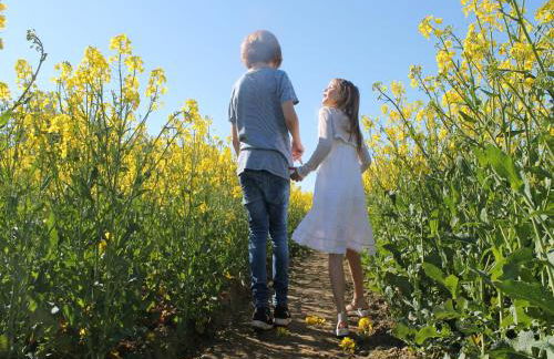 Modern Apartment in Elmenhorst Near Sea - Foto 56