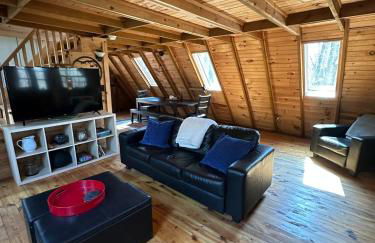 Bearly Behavin - Foto 1