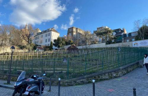 Le fameux Montmartre - Foto 24