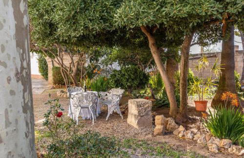 Moli dels Reis - Photo 30