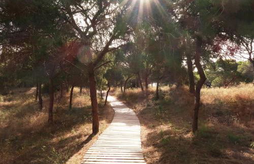 Emilia de la Playa - Foto 29