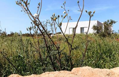 MedBlu Paros - Foto 11