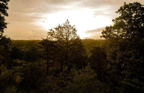 Luxury Yurt Rental near Austin for Glamping in Texas - Foto 15
