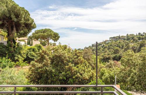 Margarita - Photo 17