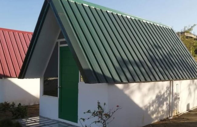 Live N Love - Photo 13