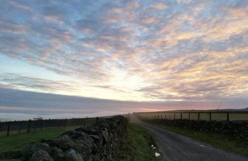 Bwthyn Plas Hafod Cottage - Photo 33