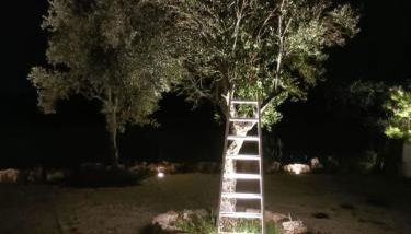 Casa Loredana - Foto 5, Garden, Garden view